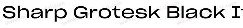 Sharp Grotesk Black Italic 24字体转换